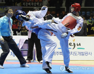 태권도 남중 플라이급 결승