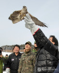 강릉 경포호 습지 겨울 철새 먹이주기