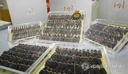 태안 해삼 가공제품 본격 생산