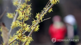 봄이 오는 인천대공원