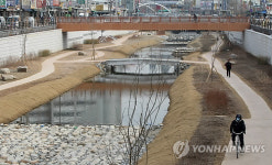 생태하천으로 변한 수원천
