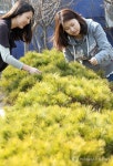 영재목재전시장 | "봄, 나무전시판매장 문 열다"