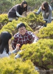 영재목재전시장 | "봄, 나무전시판매장 문 열다"