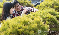 영재목재전시장 | "봄, 나무전시판매장 문 열다"