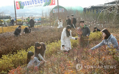 영재목재전시장 | "봄, 나무전시판매장 문 열다"