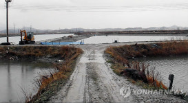 우럭 300만마리 사라진 양식장