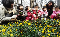 고사리 손으로 가꾸는 꽃길