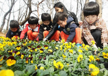정성스럽게 만드는 꽃길