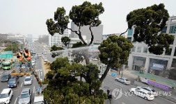 물세척하는 서초구 천년향
