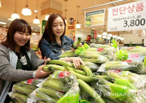 롯데마트 친환경 햇 오이 40%저렴하게 드세요