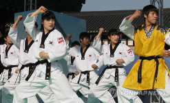 남산골 태권도공연