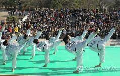 남산골 태권도공연