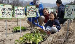주말 가족농장 시작 됐어요