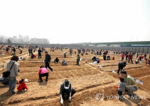 주말 농장 개장한 금천구