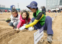 주말 농장 개장한 금천구
