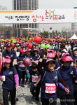 한국인삼공사, 심나는 건강한 걸음