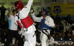 한미연합군사령부 전투태권도 토너먼트
