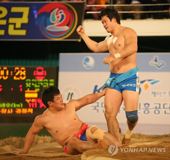 2012 보은장사씨름대회, 김기태 한라장사 등극