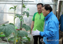 이재오 의원 구례 오이농장 방문