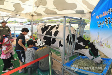 춘향제서 도심 속 목장체험행사