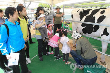 <카메라뉴스> 춘향제서 도심 속 목장체험행사