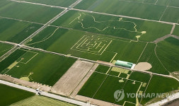 김제 심포서 4-7일 지평선 황금보리축제