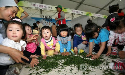 찻잎이 너무 신기해요