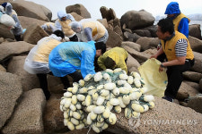 조도(鳥島)를 살립시다