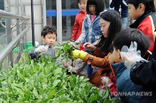 신나는 토요일 텃밭상자로 어린이 농부 체험