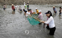 태안 전통고기잡이 '독살' 체험 관광객에 인기