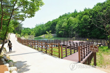 속초자생식물원 내달 5일 개장..설악산 희귀식물