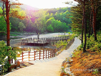 쉬자여수 | 개방 앞둔 속초자생식물원