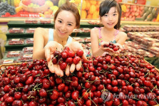 롯데마트, 체리가 왔어요~