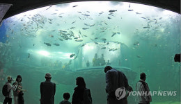  아쿠아리움 입체영상관 개관