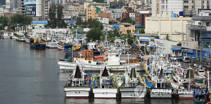 항구에 정박 중인 오징어 채낚기 어선