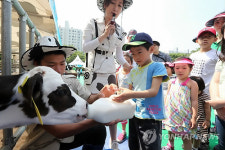 도심 속 목장 나들이