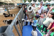 도심 속 목장 나들이