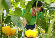 정몽준 강원도 양구 방문