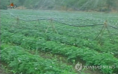 北 말라가는 농작물 살리기에 혼신
