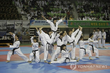 민ㆍ관ㆍ군 한마음 태권도대회