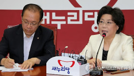 이혜훈, 이석기 의원 국가관 비판