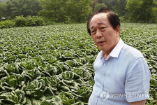 배추 생육 및 출하점검 나선 서규용 장관