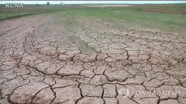 황해북도 한 농장의 갈라진 논바닥