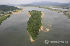 현재의 낙동강 해평습지