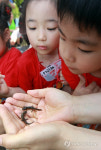 서울숲 수변공원서 양서류 방사