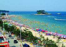 울산 일산해수욕장 개장