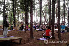 <카메라뉴스> 편백숲속 명상으로 평화찾기