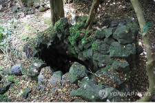 제주 선흘곶자왈서 처음 발견된 노루잡이 함정