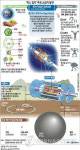 CERN 힉스 입자 추정 소립자 발견(종합)