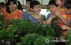 전통 약초 만나다